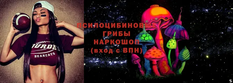 Псилоцибиновые грибы Magic Shrooms  маркетплейс клад  Зерноград  цены наркотик 